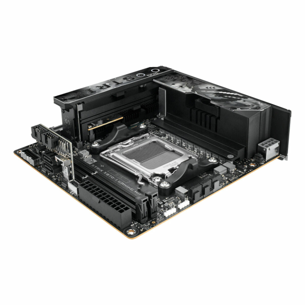 Motherboard Asus AMD AM5 AMD